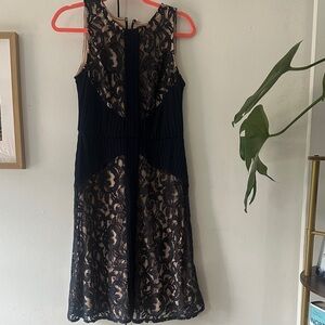 Elegant Navy Lace Dress